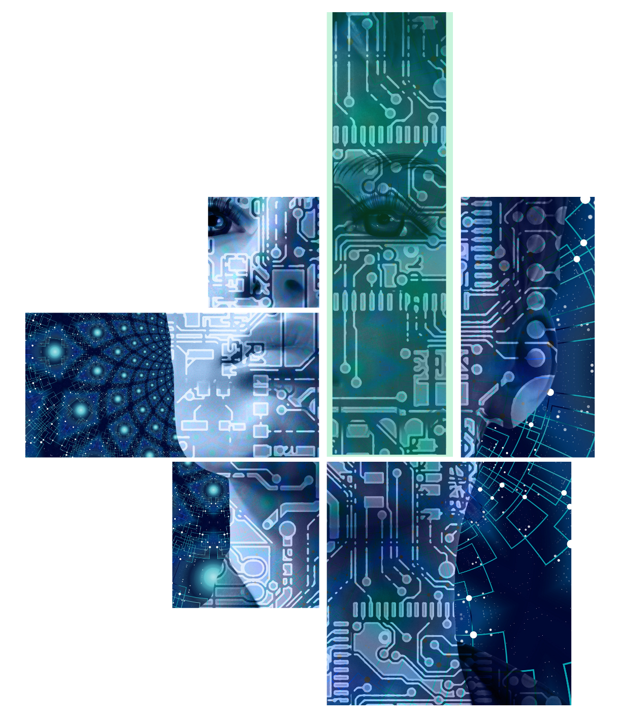 Market Map Fortium