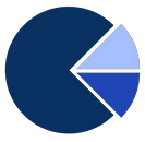 Equity carve out
